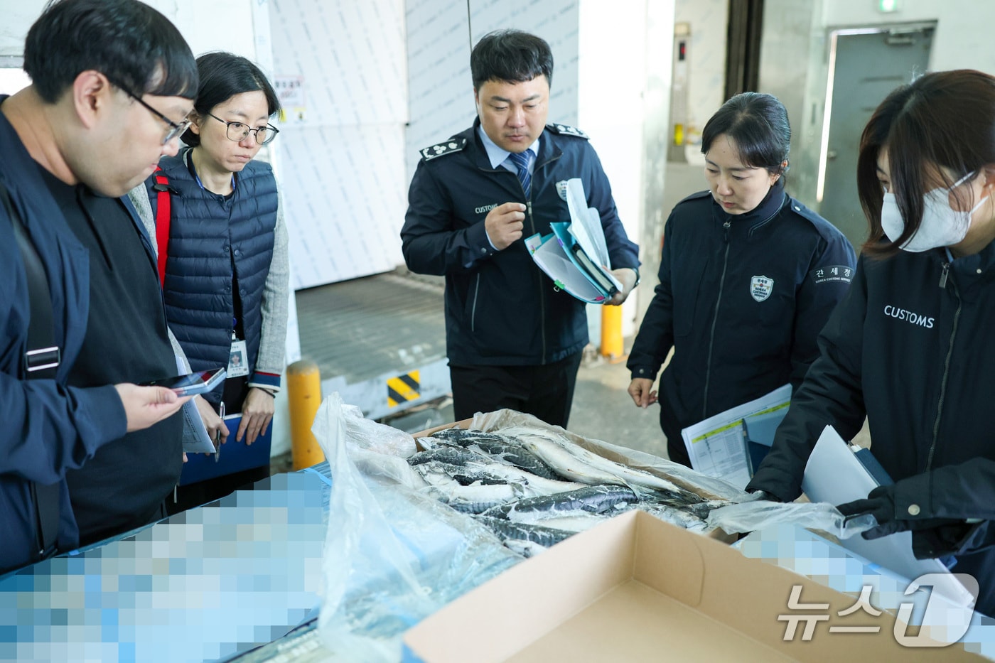 부산세관은 16일 해양수산부, 수협중앙회와 함께 할당관세가 적용된 냉동 고등어의 보세창고 반출 현황 및 시장 유통 실태를 점검하기 위한 합동점검을 실시했다. (부산세관 제공. 재판매 및 DB금지)