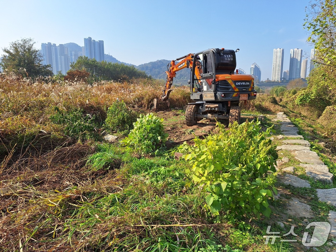 대구 달성군이 서재리 일대 하천 주변 불법시설을 철거·정비하고 있다.(대구 달성군 제공. 재판매 및 DB금지)