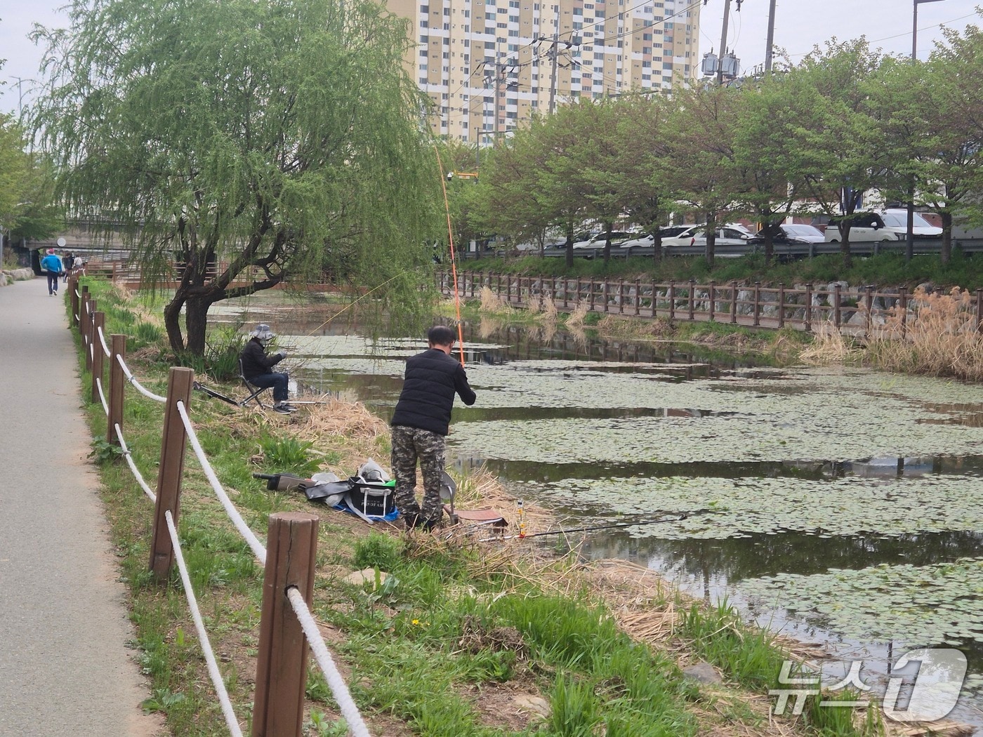 17일 한 시민이 인천 서부간선수로에서 낚시를 즐기고 있는 모습/뉴스1