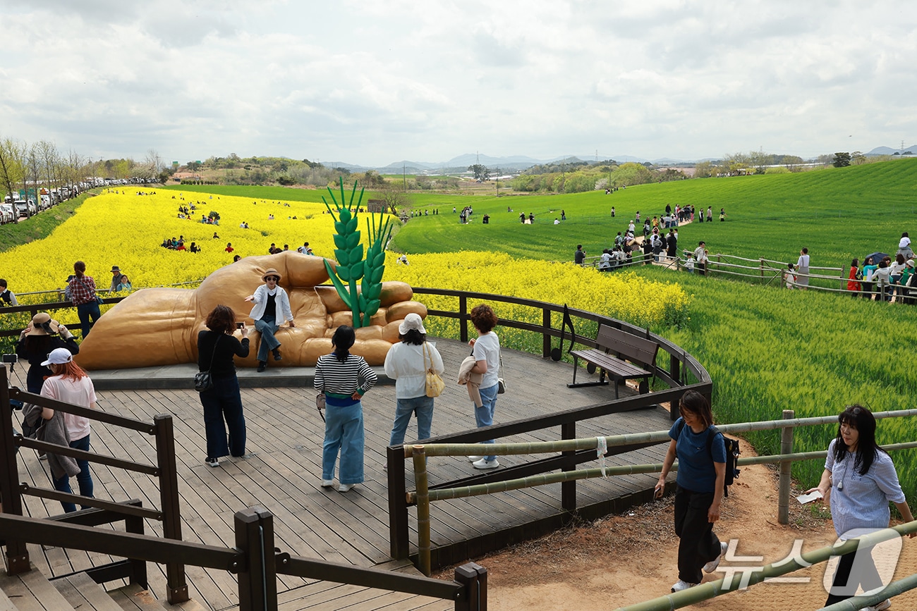 고창 청보리밭 축제 현장.(고창군 제공. 재판매 및 DB금지)