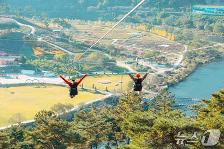 전북 정읍시 구절초 지방정원 내 집와이어.(정읍시 제공. 재판매 및 DB금지)/뉴스1 