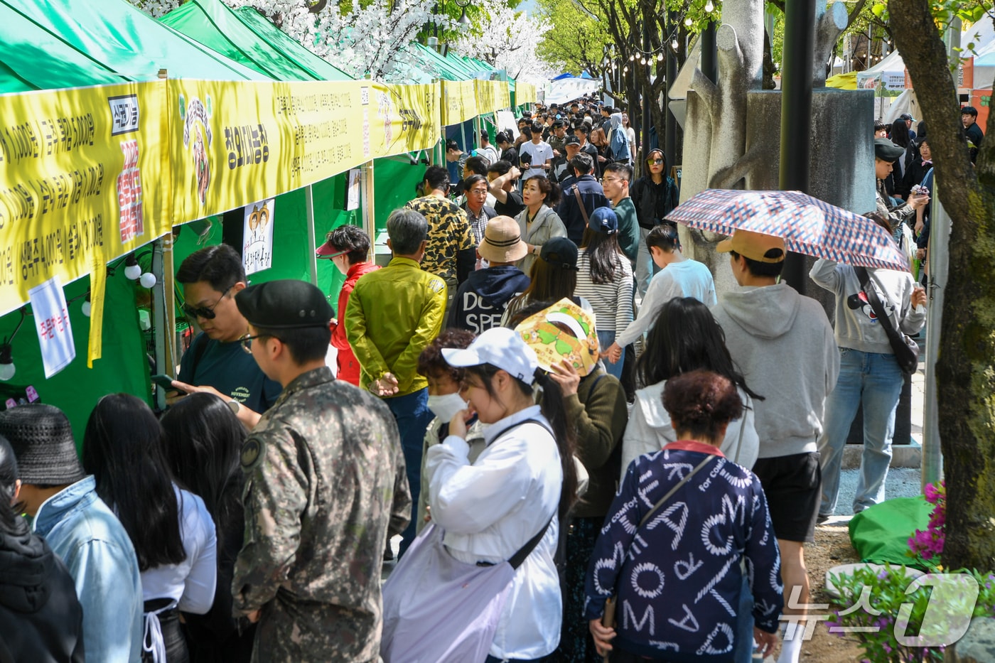 양구 곰취축제 자료사진.(양구군 제공. 재판매 및 DB금지)/뉴스1