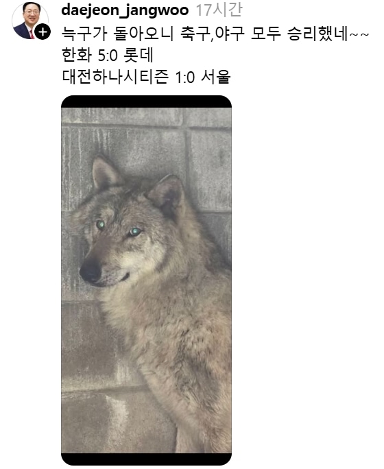 이장우 대전 시장 스레드