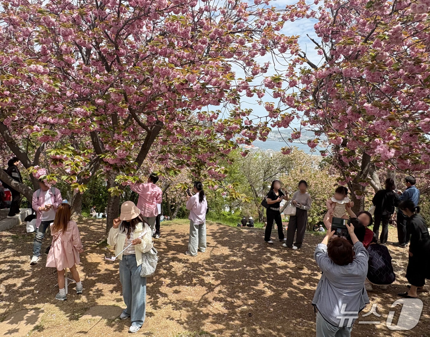 19일 오후 부산 중구 영주동 민주공원을 찾은 시민들이 겹벚꽃을 배경으로 기념사진을 남기고 있다. 2026.4.19 ⓒ 뉴스1 박서현 기자