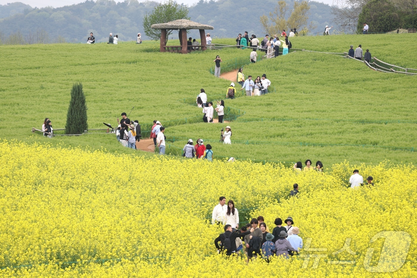고창 청보리밭 축제가 한창인 19일 전북 고창군 학원농장을 찾은 나들이객들이 산책로를 거닐고 있다. 2026.4.19 ⓒ 뉴스1 유경석 기자