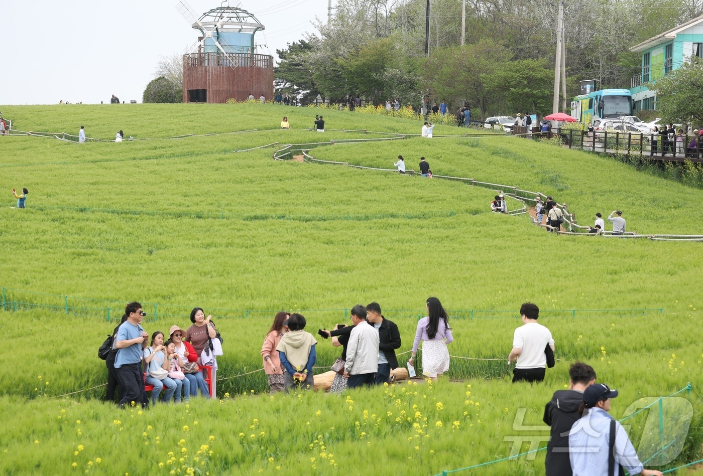 고창 청보리밭 축제가 한창인 19일 전북 고창군 학원농장을 찾은 나들이객들이 산책로를 거닐고 있다. 2026.4.19 ⓒ 뉴스1 유경석 기자