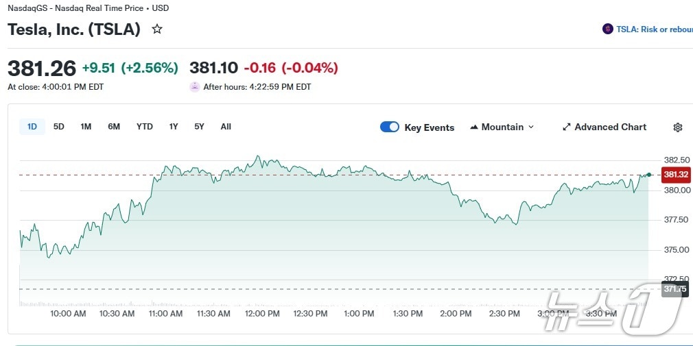 테슬라 일일 주가 추이 - 야후 파이낸스 갈무리