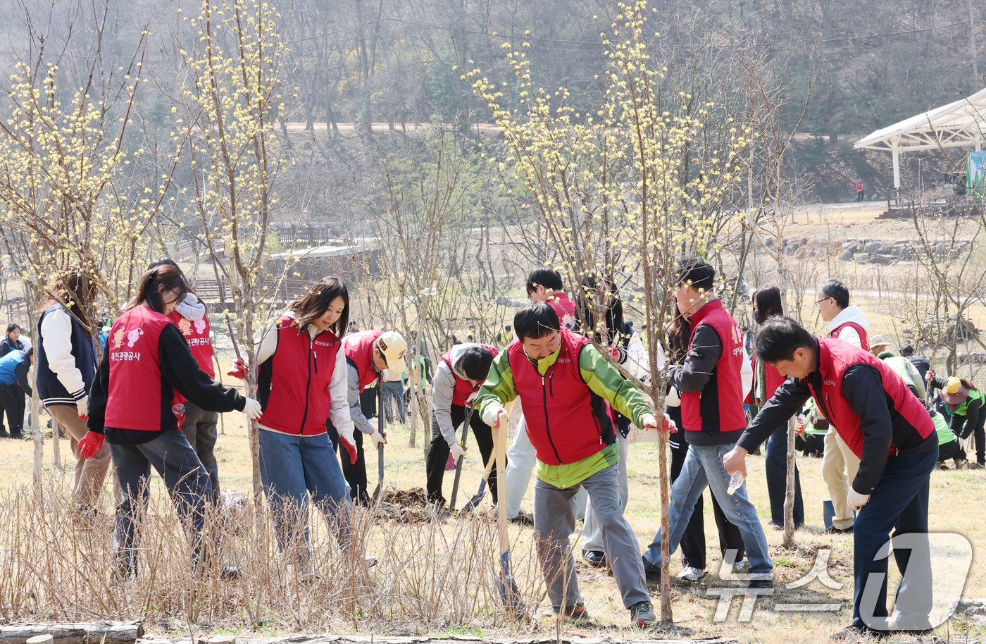 제81회 식목일을 앞둔 2일 대전 대덕구 장동문화공원 일원에서 진행된 나무심기 행사에서 대전관광공사 직원들이 나무를 심고 있다. 2026.4.2 ⓒ 뉴스1 김기태 기자