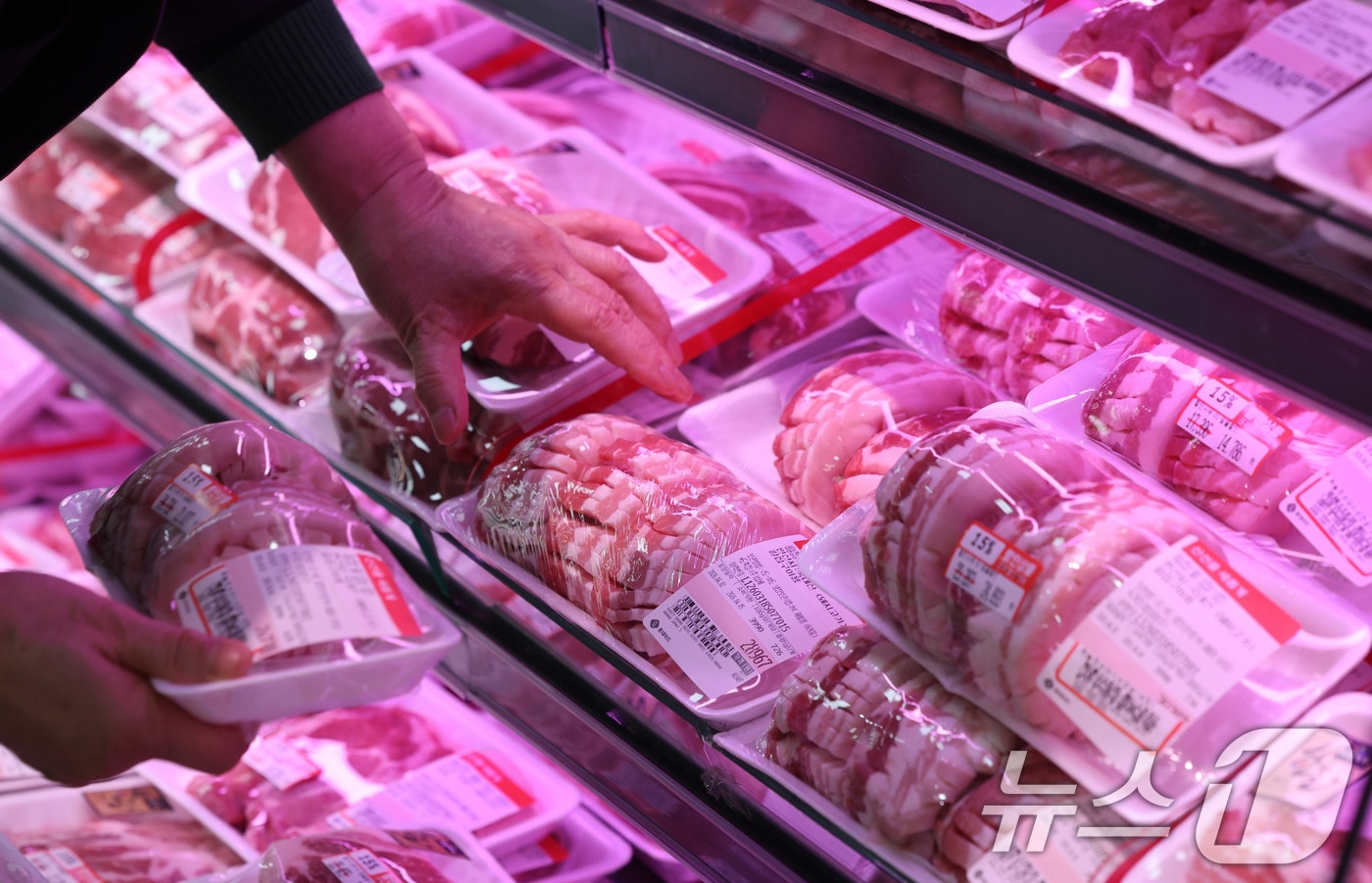 2일 서울의 한 대형마트에 돼지고기가 진열돼 있다. 지난달 소비자물가가 전년 동월 대비 2.2% 올라 2월보다 상승폭이 확대됐다. 중동전쟁 여파로 석유류 가격이 9.9% 급등한 영향이 컸다. 농축수산물은 전체적으로 0.6% 하락했지만, 달걀(7.8%)과 돼지고기(6.3%), 쌀(15.6%) 등 일부 품목은 오름세를 보였다. 2026.4.2 ⓒ 뉴스1 박지혜 기자