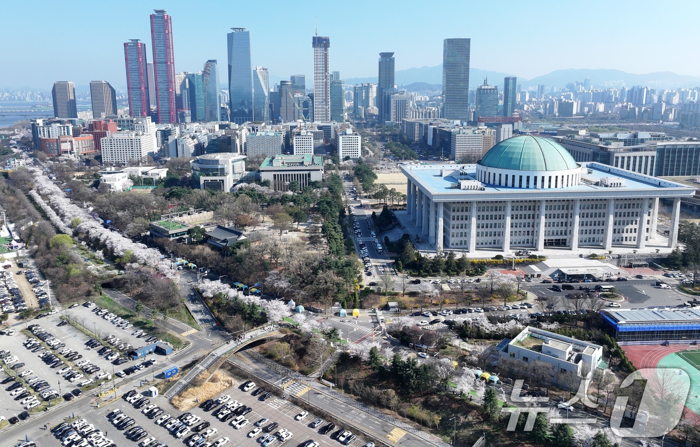 '여의도 봄꽃축제'를 하루 앞둔 2일 서울 여의도 윤중로에 벚꽃이 만개해 있다. 2026.4.2 ⓒ 뉴스1 최지환 기자