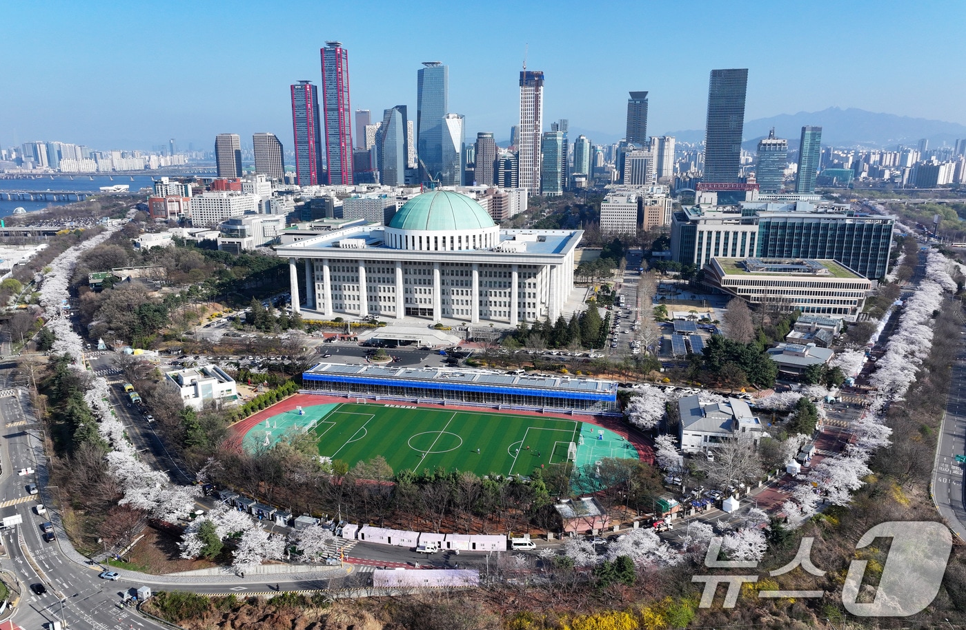 '여의도 봄꽃축제'를 하루 앞둔 2일 서울 여의도 윤중로에 벚꽃이 만개해 있다. 2026.4.2 ⓒ 뉴스1 최지환 기자