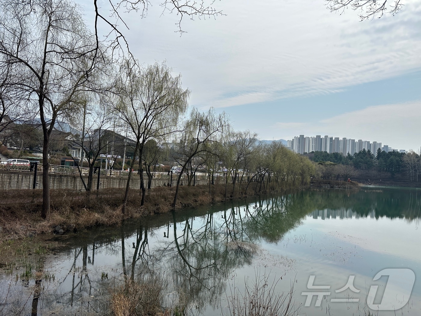 충주 호암지. ⓒ 뉴스1 윤원진 기자