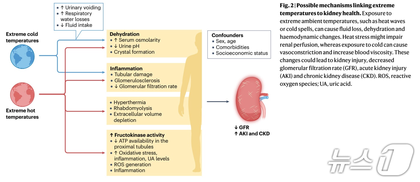 부산대 이환희 교수팀 연구 이미지. (부산대 제공. 재판매 및 DB 금지)