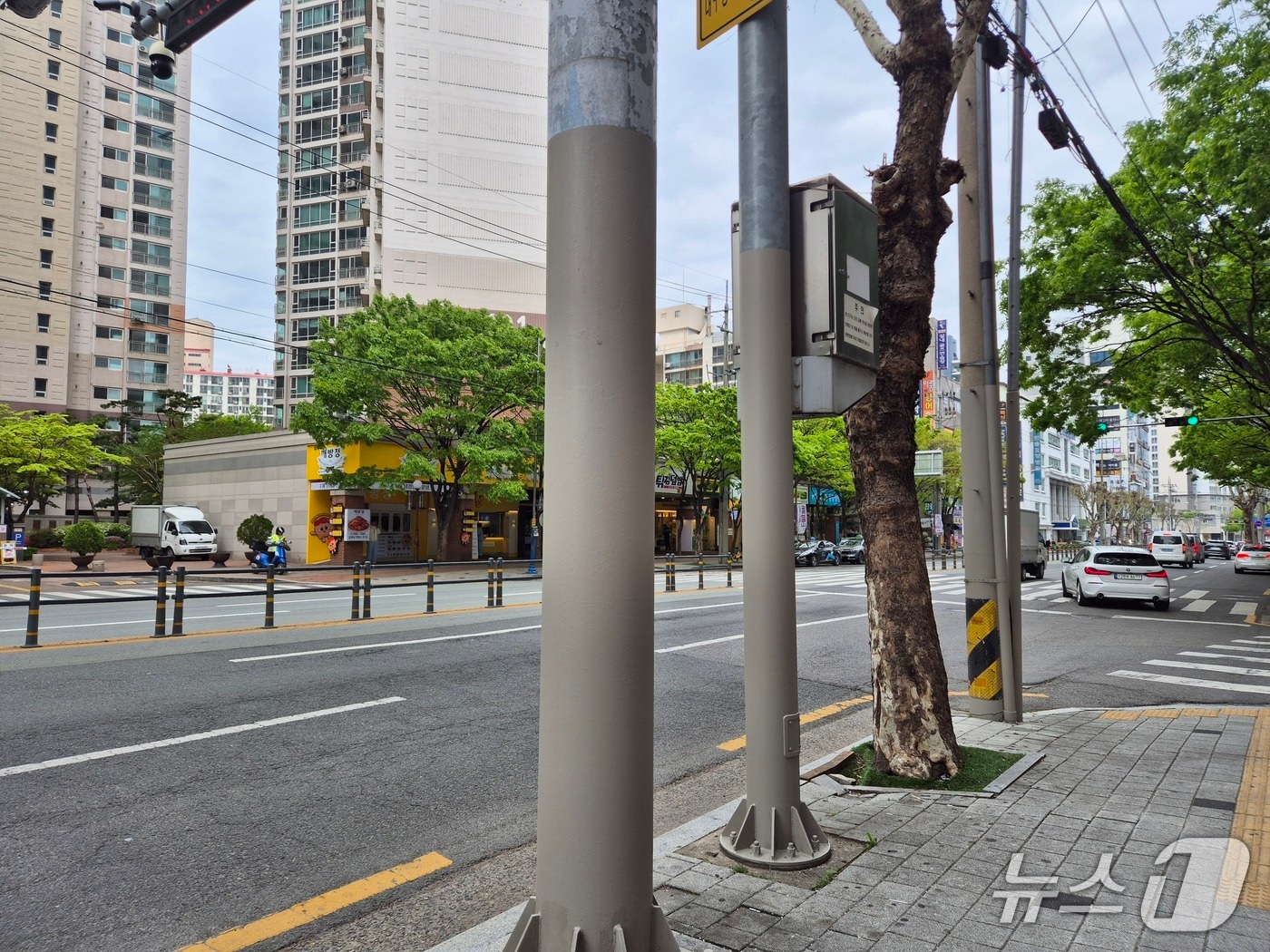 대구 북구 불법광고물 부착 방지용 특수 코팅 도포된 모습.(대구 북구 제공. 재판매 및 DB금지)