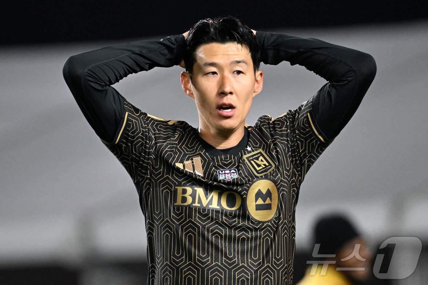 LAFC 경기 관련 이미지
