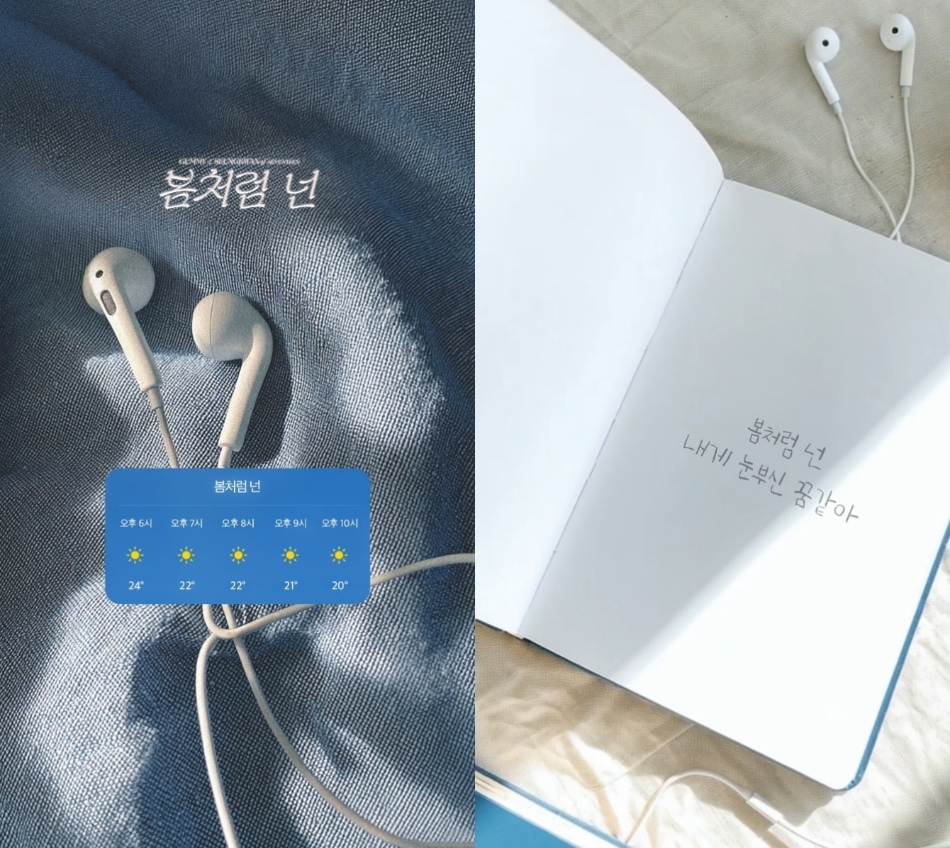 아메바컬쳐 제공