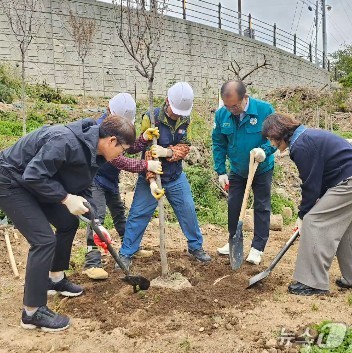산림 훼손 요소를 제거한 부지에 나무를 심는 조림사업을 진행하고 있다.(사상구 제공. 재판매 및 DB금지)