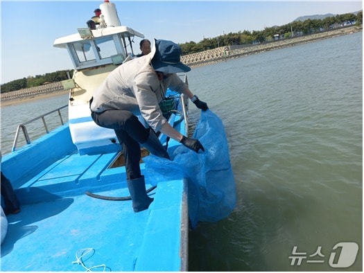 작년 톱날꽃게 치게 방류 모습.(부산시 제공. 재판매 및 DB금지)