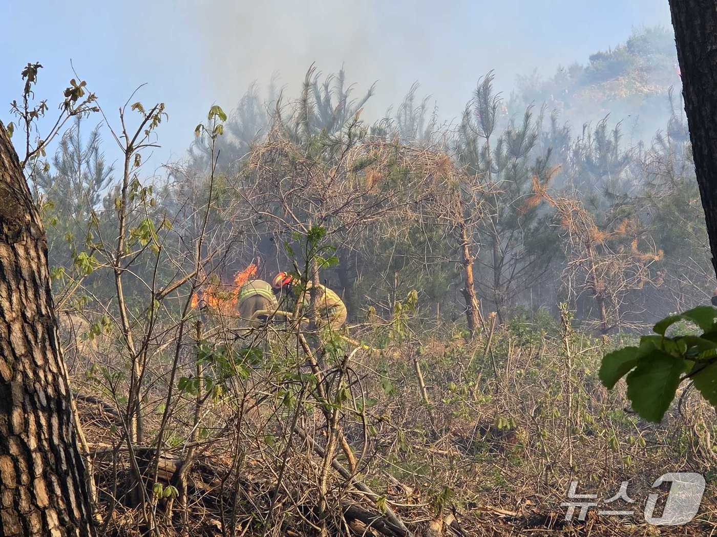 21일 오전 7시 43분쯤 강원 양양군 서면 논화리 모처에서 화재가 발생해 소방당국이 진화 중이다. (강원도 소방본부 제공. 재판매 및 DB금지)2026.4.21/뉴스1
