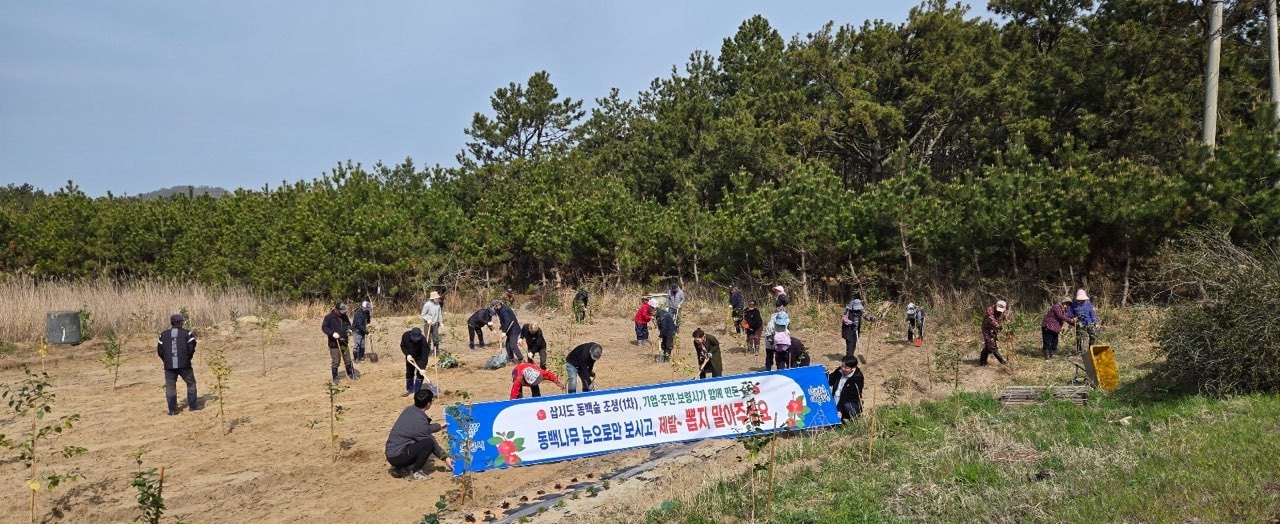 보령 삽시도 동백나무 식재 모습.(시 제공. 재판매 및 DB금지)/뉴스1