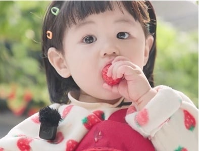 KBS 2TV '슈퍼맨이 돌아왔다'