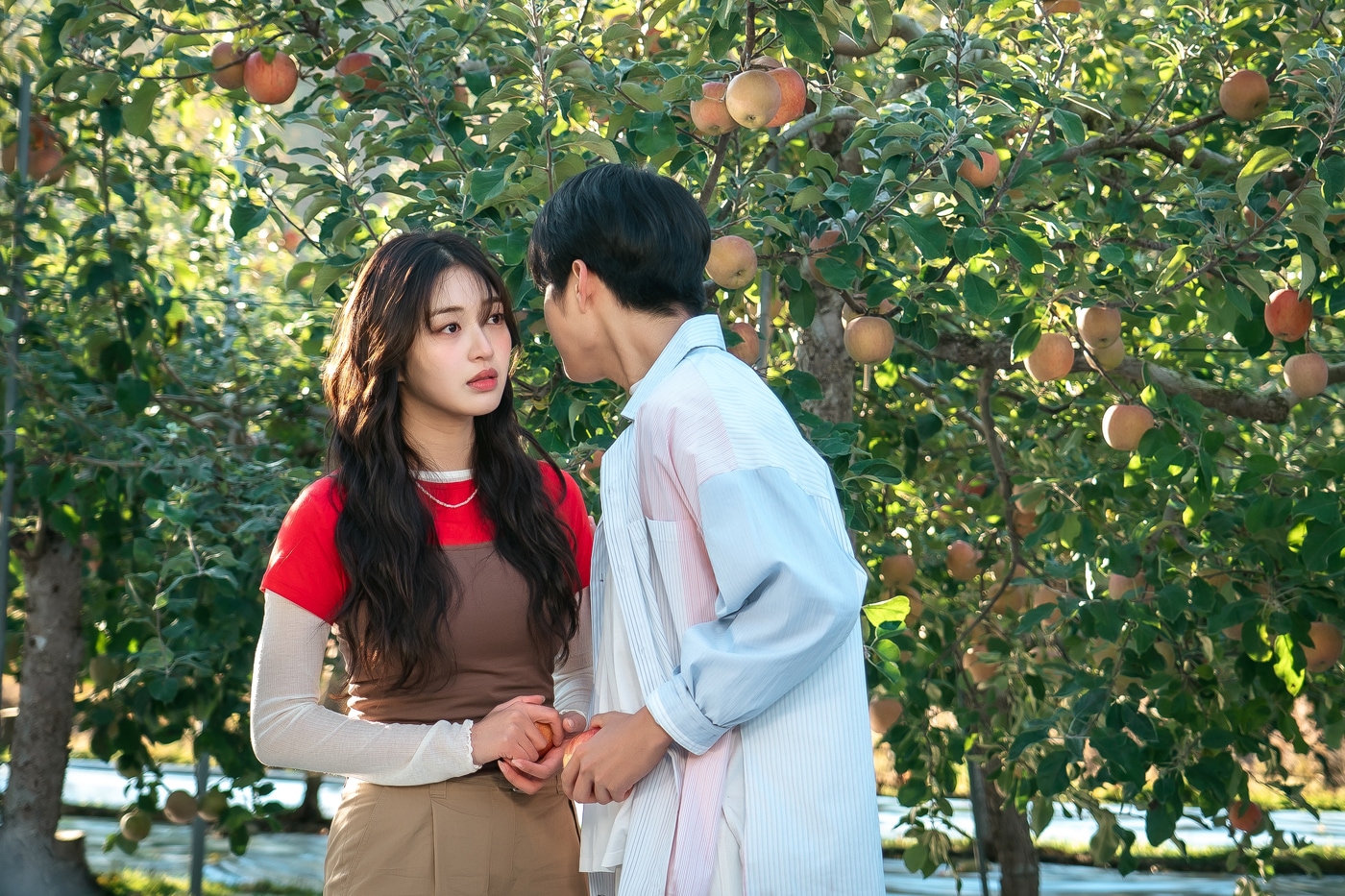 KBS 2TV '심우면 연리리'