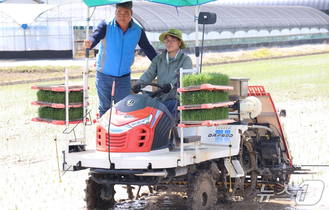 김동기 청도군수 권한대행이 21일 이서면 금촌리의 논에서 모내기를 하고 있다.(청도군 제공. 재판매 및 DB금지)/뉴스1