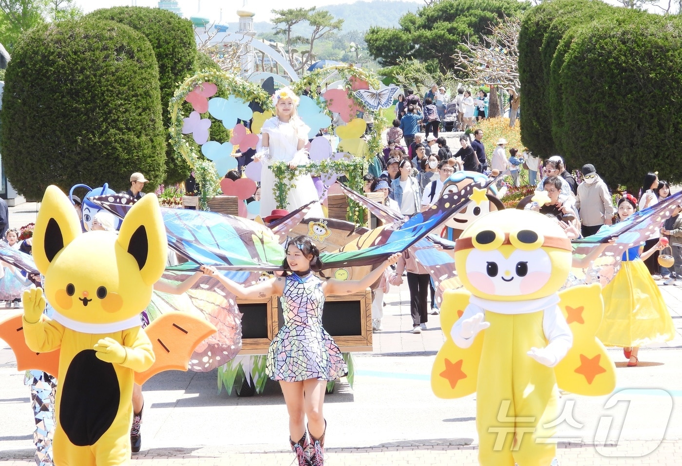 함평 나비대축제 관련 이미지