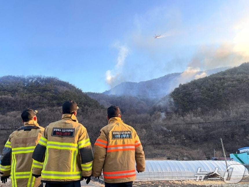 지난 2월에 발생한 단양군 장림리 산불 현장(단양군 제공. 재판매 및 DB금지) 