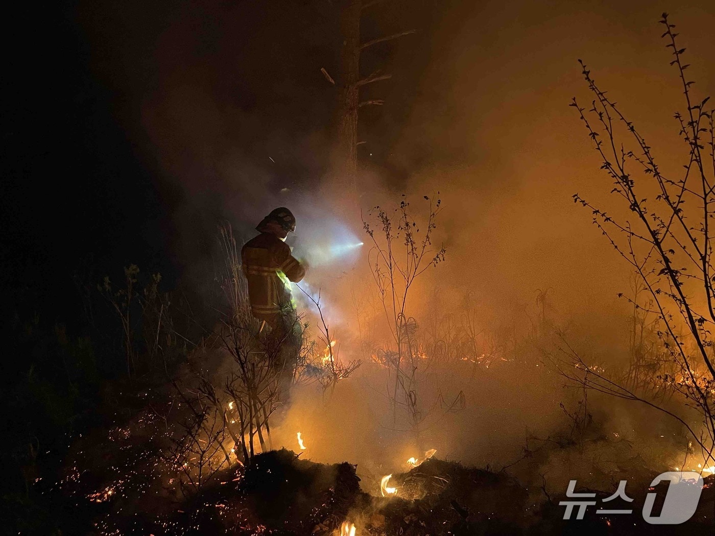 강원 영월군 영월읍 영흥리 산불 현장.(강원도 제공, 재판매 및 DB금지)