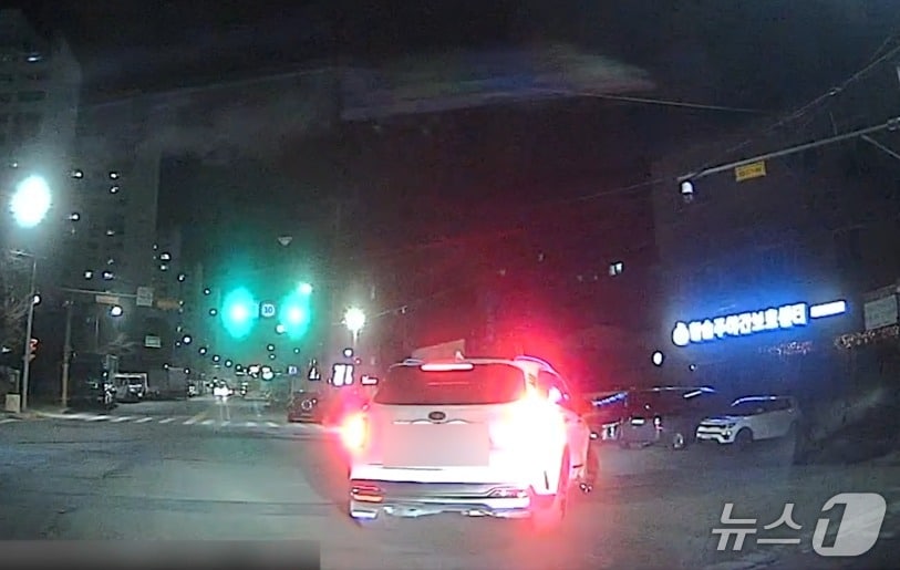 도주 끝에 멈춰선 음주운전 차량(대전경찰청 제공) /뉴스1