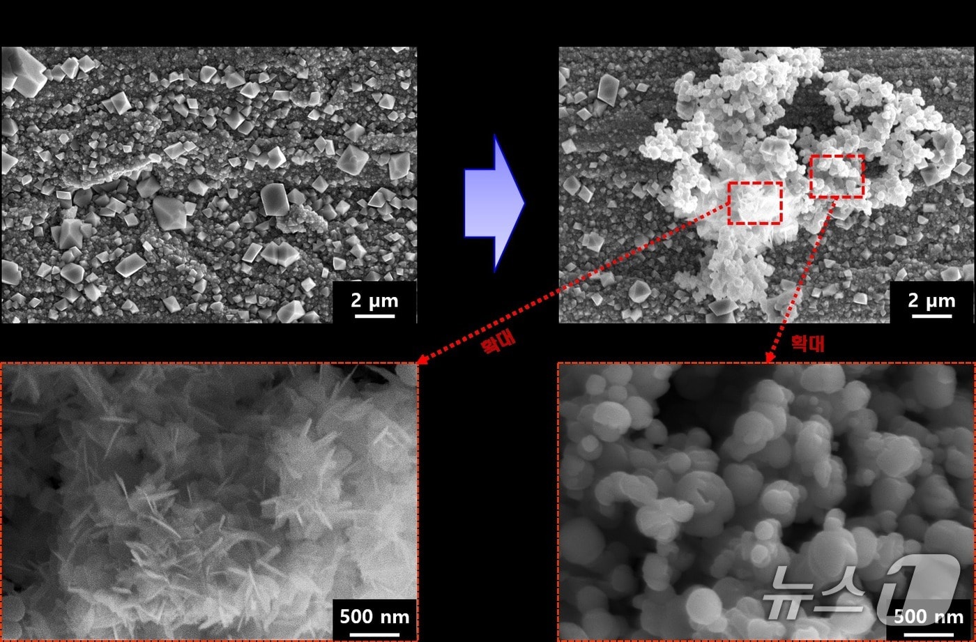 감시시편의 대기부식 전후 비교(한국원자력연구원 제공) /뉴스1