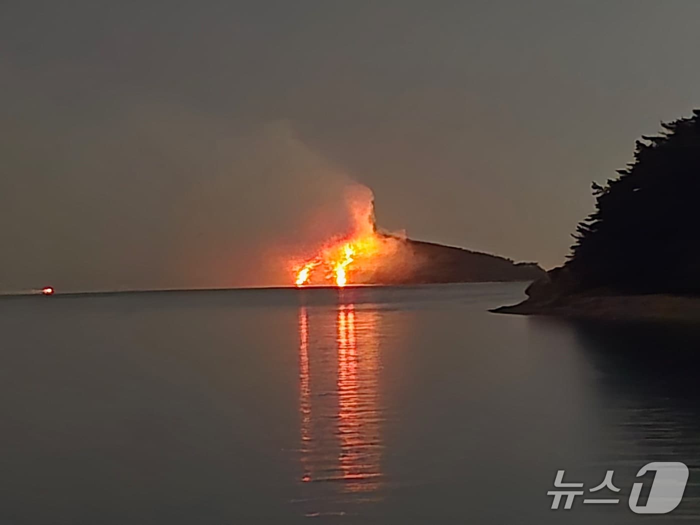   서산 대산읍 웅도리 조도 산불 현장. (태안해경 제공, 재판매 및 DB금지) / 뉴스1