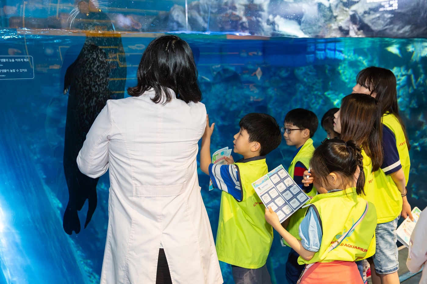 "물고기와 수족관서 하룻밤"...롯데월드 아쿠아리움 체험 캠프 운영 - 뉴스 썸네일 이미지