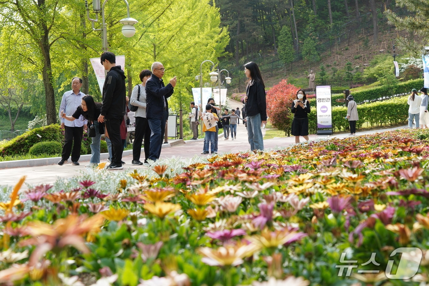 청남대 영춘제 봄꽃 여행, 인생 사진 건지는 관람 꿀팁과 필수 체크리스트 정리