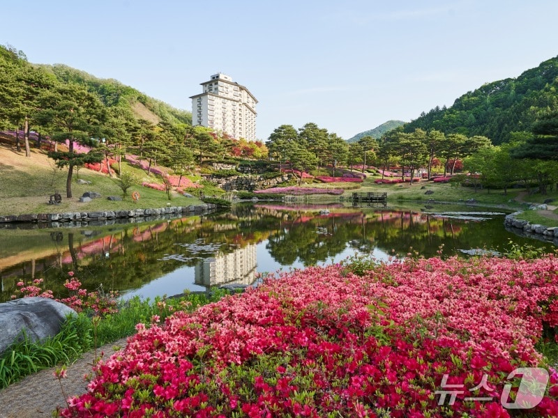 엘리시안 강촌 리조트./뉴스1