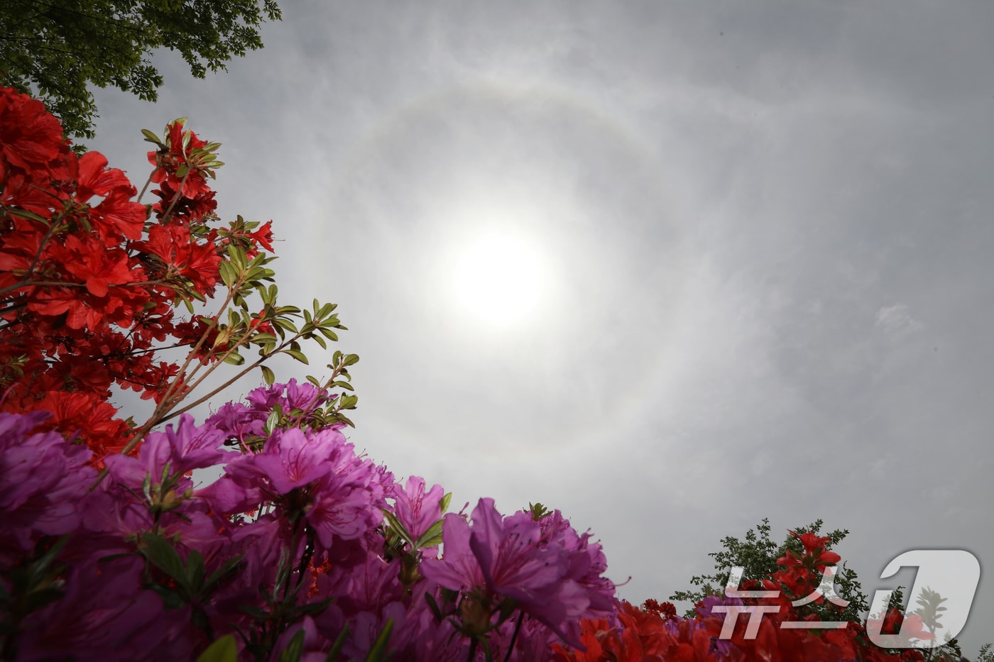 날씨 자료 사진. 2026.4.23 ⓒ 뉴스1 윤일지 기자