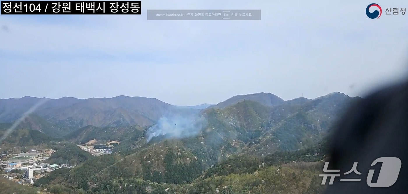 강원 태백 장성동 산불 현장.(산림청 제공, 재판매 및 DB금지)