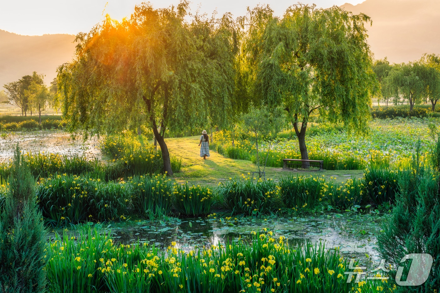 거창창포원 전경(거창군 전경. 재판매 및 DB금지).