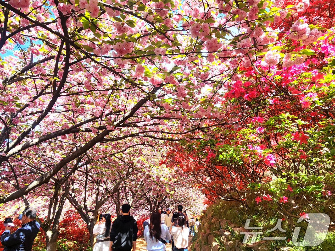 완연한 봄 날씨.2026.4.24 ⓒ 뉴스1 임충식 기자