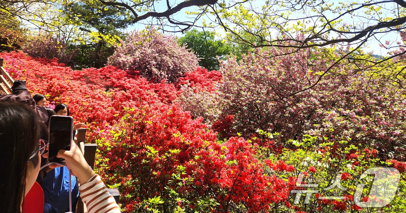 완연한 봄 날씨를 보인 24일 전북 전주시 완산공원 꽃동산에 상춘객들의 발길이 이어지고 있다. 2026.4.24 ⓒ 뉴스1 임충식 기자
