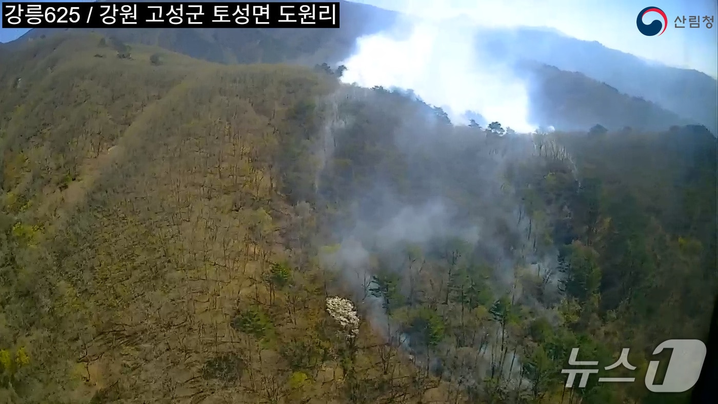 강원 인제 북면 용대리 산불 현장.(강원도 제공, 재판매 및 DB금지)