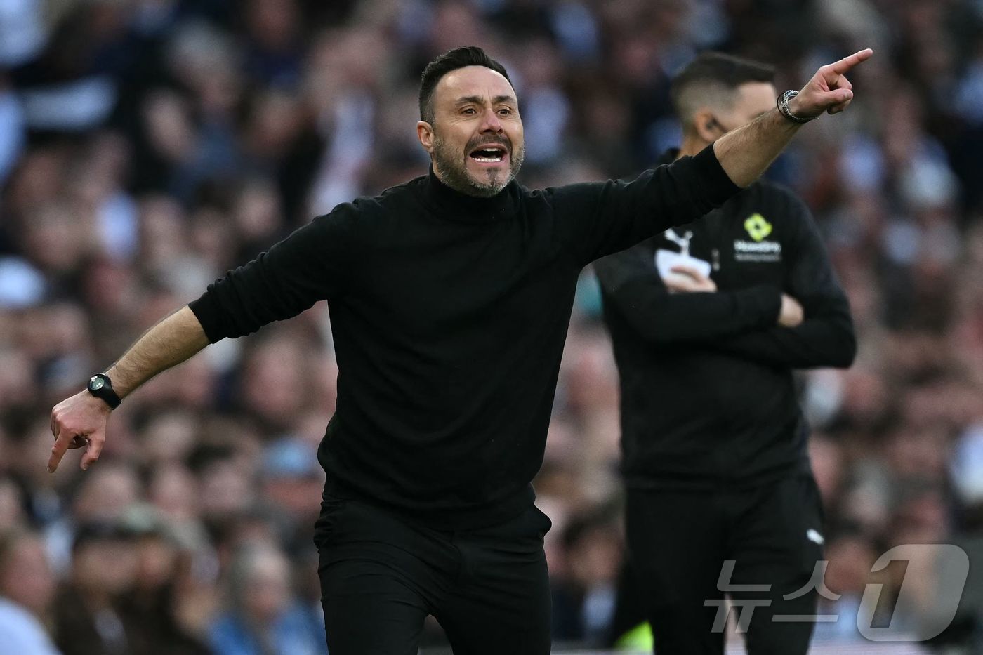 울버햄튼 토트넘 프리미어리그 경기 관련 이미지