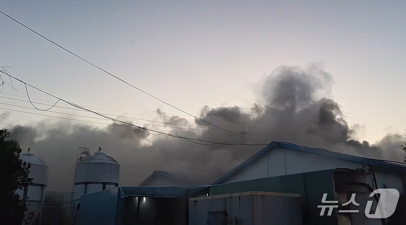 양돈장 화재 현장(제주소방본부 제공. 재판매 및 DB금지)/뉴스1