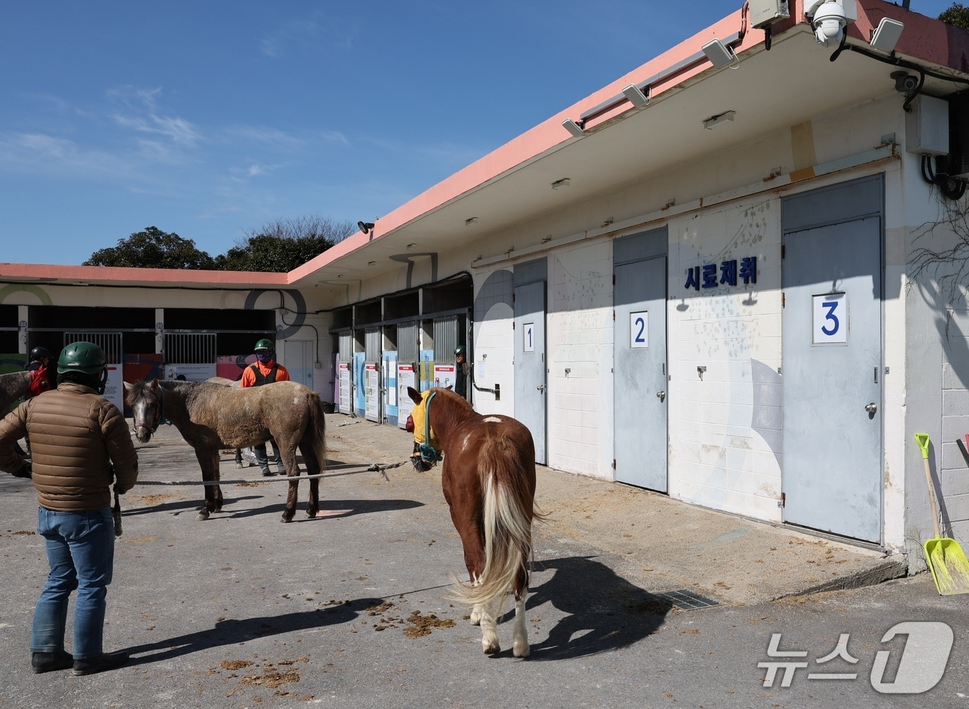 제주경마장 내 경주마(한국마사회 제주본부 제공. 재판매 및 DB금지)/뉴스1