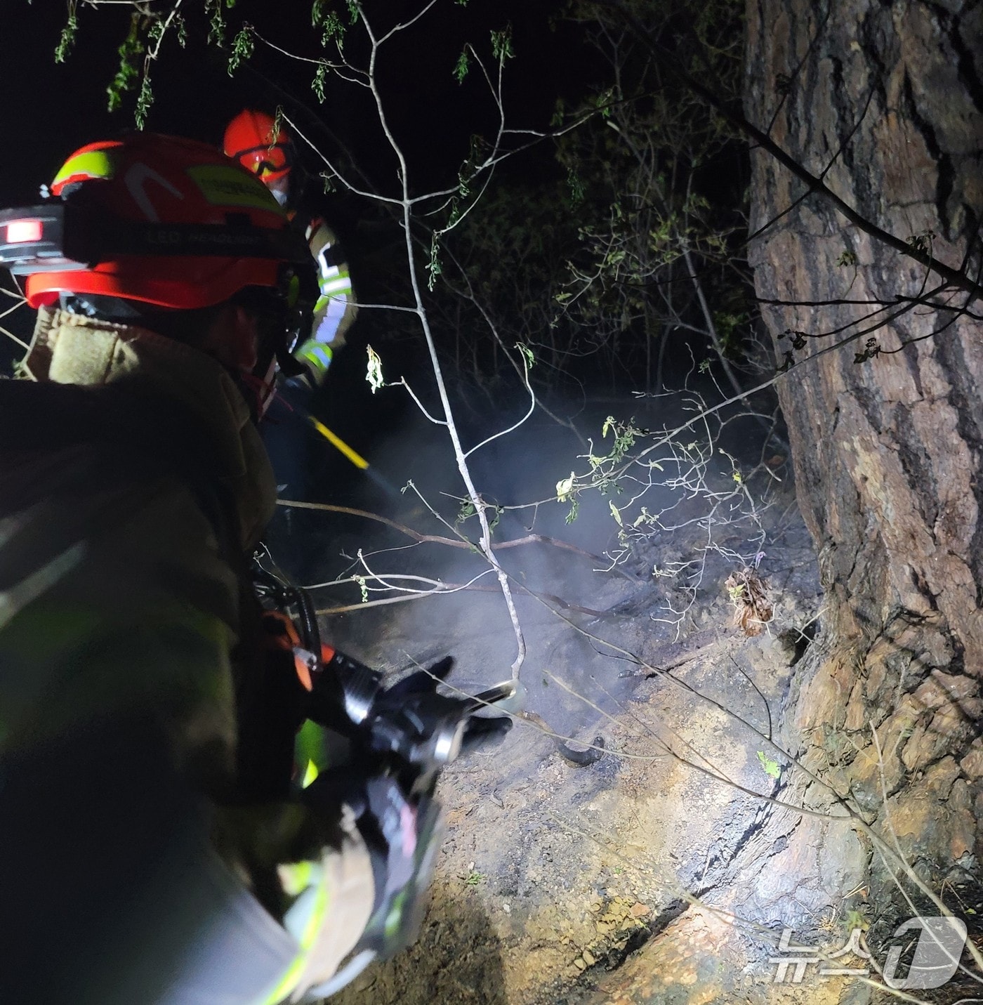 25일 오후 7시45분쯤 경북 봉화군 춘양면 각화산에서 불이나 산림 당국이 1시간여 만에 진화를 마쳤다.(경북소방본부 제공. 재판매 및 DB금지)