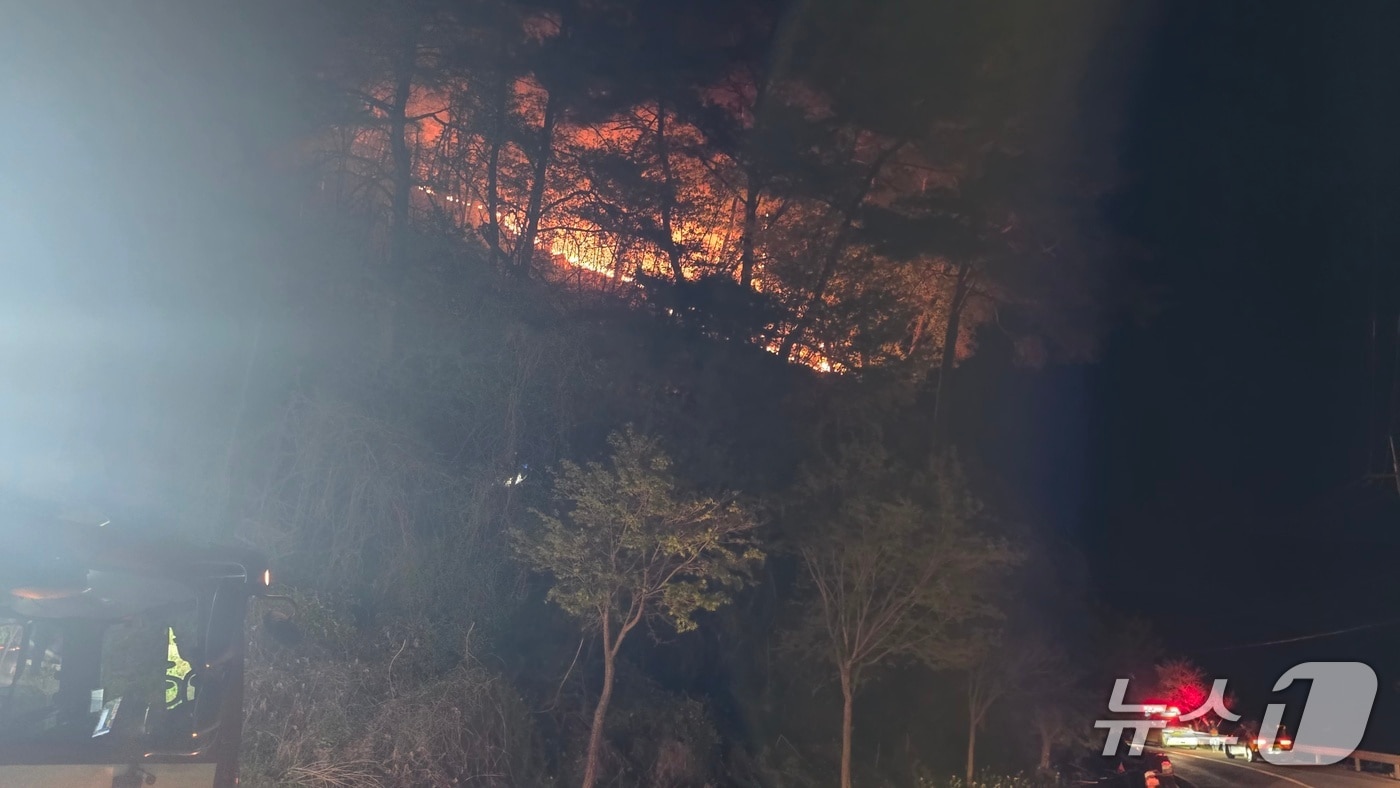 25일 밤 강원 영월군 무릉도원면 야간 산불 현장.(강원도 산불방지센터 제공, 재판매 및 DB 금지) 2026.4.25/뉴스1