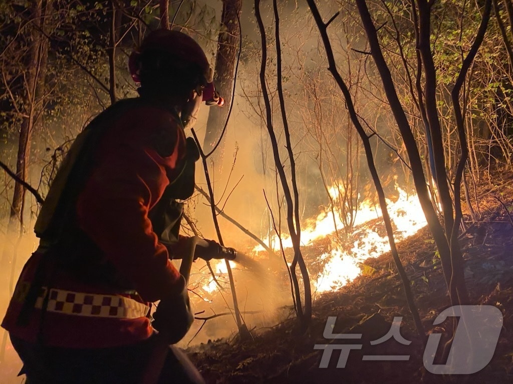 산불 진화 모습.(사진은 기사 내용과 무관함) / 뉴스1 ⓒ News1