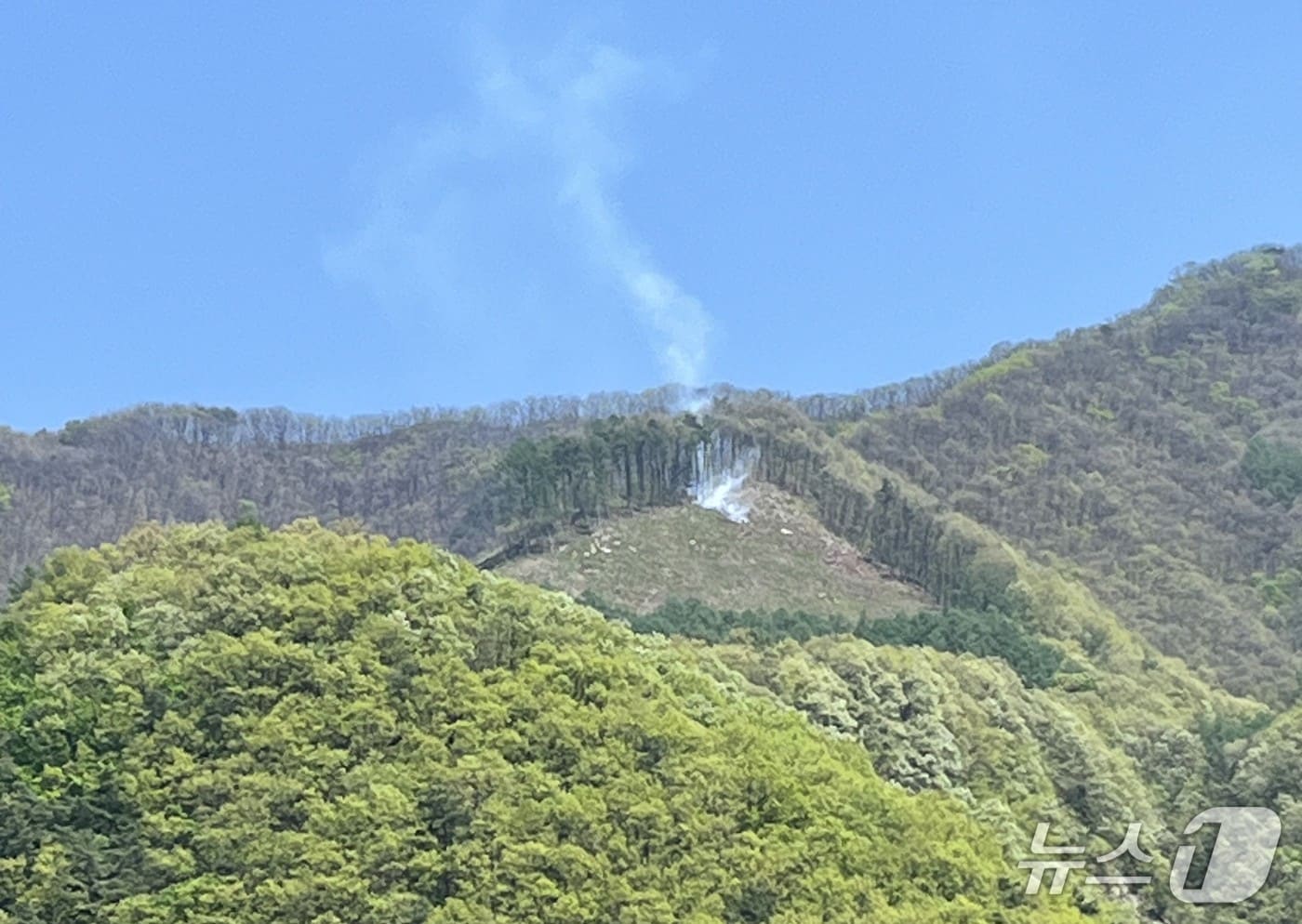 충북 단양군 어상천면 임헌리 삼태산 인근에서 불(단양소방서 제공. 재판매 및 DB 금지)  