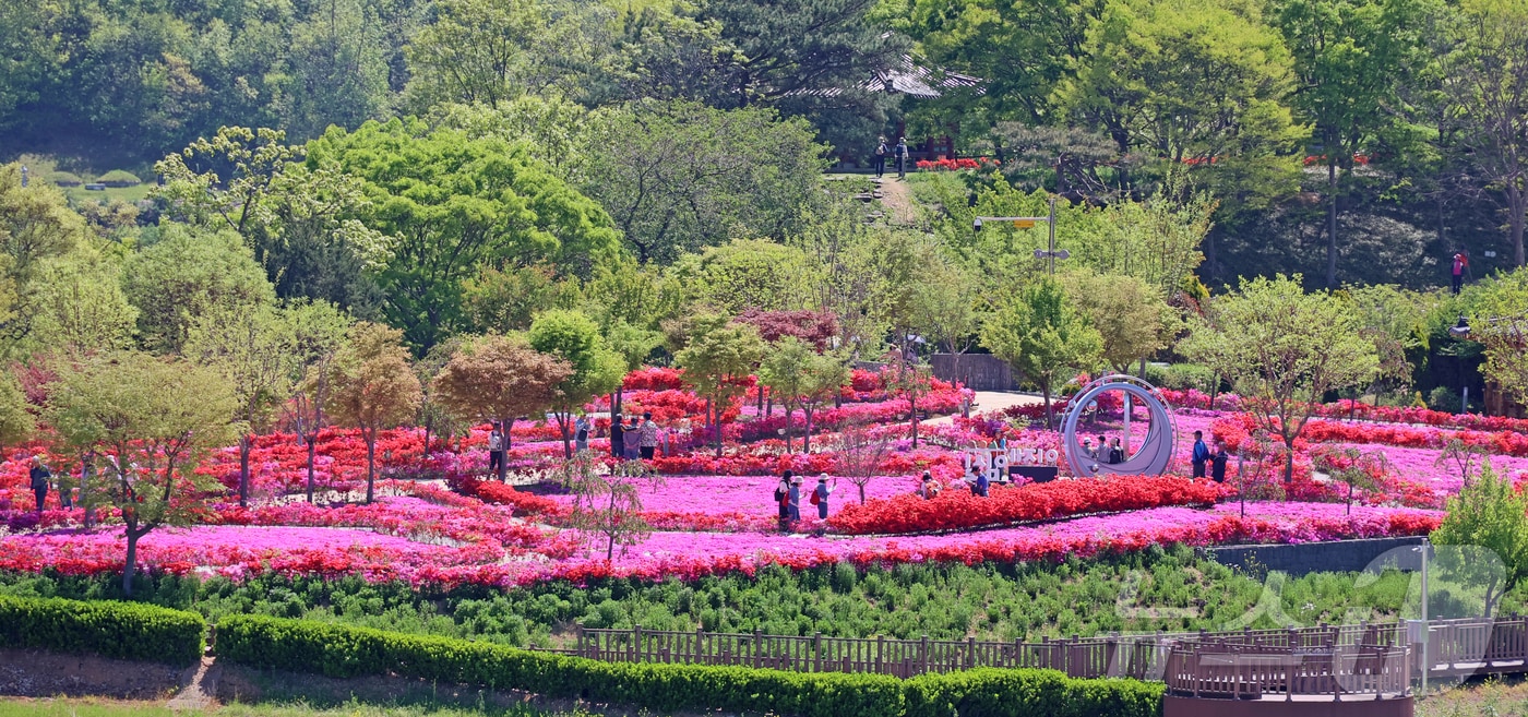 27일 전북 임실군 옥정호 붕어섬 요산공원에 봄꽃이 만개해 주말 많은 관광객들이 이곳을 찾았다.(임실군제공. 재판매 및 DB금지)2026.4.27 ⓒ 뉴스1 김동규 기자